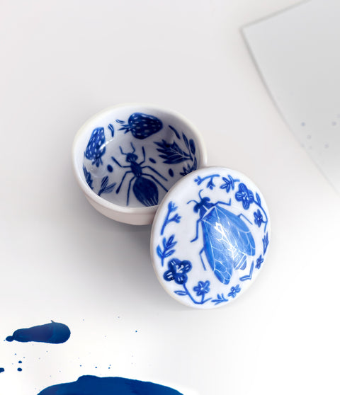 Boîte La Cigale et la Fourmi